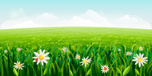 Horizontal Daisies Field Landscape. Green Summer Scene With White Flowers, Grass. Sunny Idyllic Realistic Spring Background With Daisies, Green Meadows, Rural Fields, Valleys. Blue Sky, Fluffy Clouds