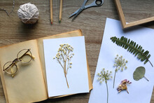 Old Book, Papers, Various Pressed Flowers, Eyeglasses, Scissors, Pencils And Rope On Wooden Desk. Crafting And Making Herbarium At Home. Flat Lay.