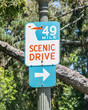 San Francisco sign of scenic drive 49 mile. Road sign for Scenic Drive County Road hanging on a light pole.
