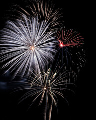 Canvas Print - A stunning view of fireworks bursting against dark sky