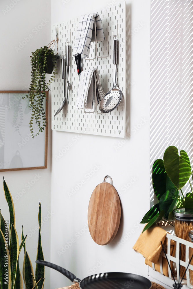Pegboard with modern kitchenware and houseplant on light wall in kitchen