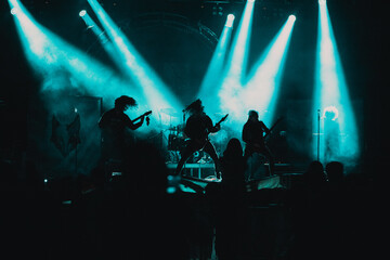 Wall Mural - crowd at concert and silhouettes in stage lights