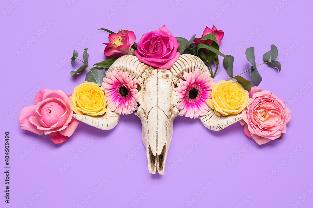 Skull of sheep with flowers on color background