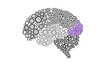 Occipital Lobe of Human brain illustration with Gear icon