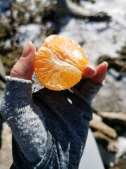 Wall Mural - A closeup shot of fresh oranges