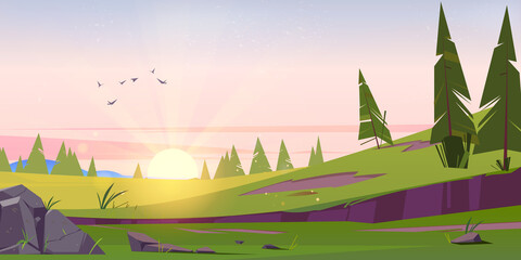 Wall Mural - Early morning cartoon nature landscape with sun rising over green field with conifers trees and rocks under pink sky with flying birds. Scenery background, summer or spring meadow, Vector illustration