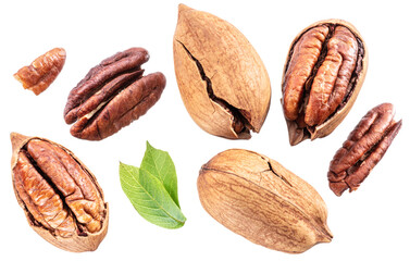 Wall Mural - Set of shelled and cracked pecan nuts isolated on white background.