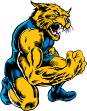 Wildcat Mascot Wrestler Vector Illustration