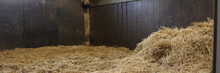 Empty Stall In The Stable With Hay Closeup