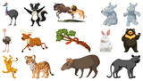 Fototapeta Pokój dzieciecy - Set of different wild animals cartoon characters