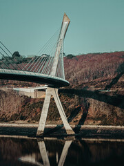 Wall Mural - bridge