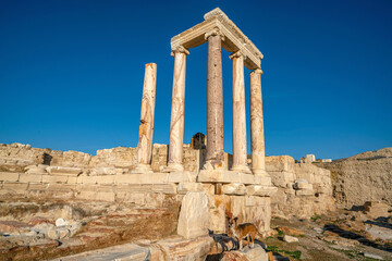 acropolis, agora, anatolia, ancient, ancient city, antique, apollonia, arch, archaeological, archaeology, archeology, architecture, civilization, colonnade, column, columns, culture, denizli, face, fa