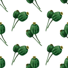 Seamless Poppy Boxes Pattern. Watercolor Floral Background With Bright Green Opium Poppy, Poppy Seed, Poppy Head For Fabric, Wrapping Paper
