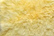yellow fur texture close-up beautiful abstract feather background