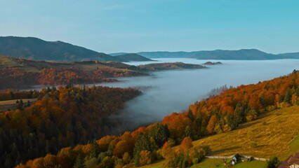 Wall Mural - drone flight at sunrise over beautiful autumn landscape of mountain range with sea of clouds in valley bottom. view from above on amazing hills at early morning.