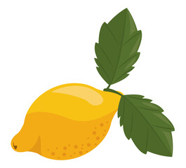 Poster - lemon citrus fruit