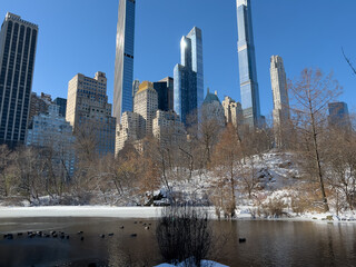 Wall Mural - Central Park in New York City in winter snow
