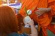 Hand holding a food in brown paper bag  bouquet of white lotus flowers and put into the monk's alms bowl. Monks walk Alms-round in the morning for Buddhists to make alms according to the traditional 
