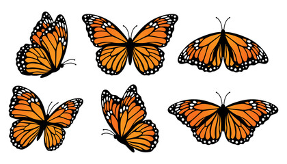 monarch butterflies set. vector illustration isolated on white background