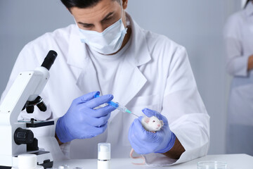 Poster - Scientist with syringe and rat in chemical laboratory. Animal testing