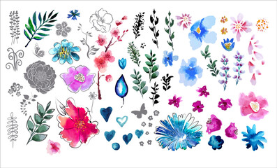 Wall Mural - A set of watercolor flower and floral elements. Vector illustration