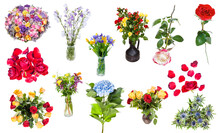 Set Of Flowers In Vases And Singles Isolated
