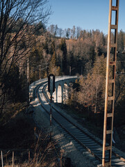 Sticker - Railway track in the middle of the forest