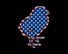Chick Chicken USA Flag, United States Of America Icon Logo Symbol Illustration