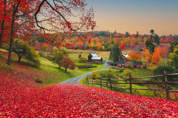autumn in vermont, new england, usa, farm. the autumn color of the trees and flora in new england ha