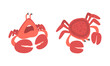 Red Crab Character as Aquatic Mammal with Pair of Pincers Vector Illustration Set