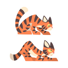 Wall Mural - Tiger Character with Orange Fur and Black Stripes Sneaking Vector Illustration Set