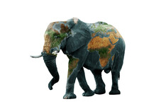 Isolated Image Of Elephant With Earth Painted On Skin.