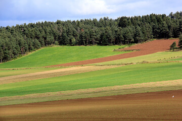 Poster - beaux terrains agricoles