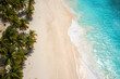 Amazing aerial view of tropical paradise beach with white sand, coconut palms and sea, outdoor travel background, summer holiday concept, natural wallpaper. Caribbean, Saona island, Dominican Republic
