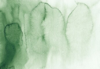 Canvas Print - Watercolor green ombre background texture. Green and white gradient backdrop. Watercolour stains on paper, hand painted. Liquid overlay