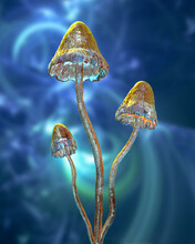 Psilocybin Mushrooms, 3D Illustration