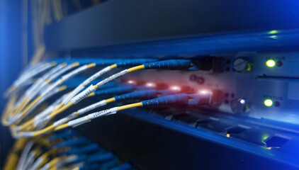 Wall Mural - Close up fiber optic and hub in datacenter.