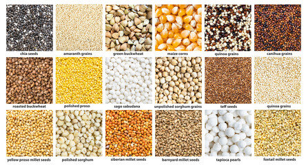 Wall Mural - various small grains with names close up