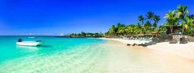 Wall Mural - Idyllic tropical white sandy beaches with turquoise sea. Mauritius island holidays