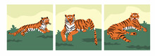 Set Of Striped Amur Tigers Lying On The Grass. Color Vector Illustration Of A Predatory Feline Animal. The Wild Cat Is Resting In Nature. Hand-drawn Clipart On A White Isolated Background.