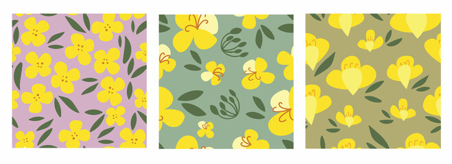 Set seamless pattern rapeseed flowers on a colored isolated background. Yellow canola hand-drawn bright plants. Blooming design elements for postcards, banners. Vector illustration.