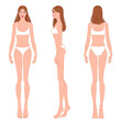 © Shorena Tedliashvili - Female body, front, side, and back views. Female fashion figure template. Beautiful, slim woman wearing lingerie, isolated on white background. Fashion model in a bikini, vector illustration.