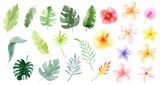 Fototapeta Pokój dzieciecy - Watercolor Tropical flowers and leaves. Jungle flowers. Safari exotic greenery cute childish baby shower illustration. Floral summer isolated. Monstera banana leaves