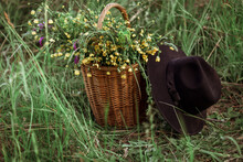 A Bouquet Of Yellow-blue Wildflowers In A Wicker Basket And A Black Hat In The Field. Copy Space. Selective Focus