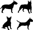 Bull Terrier Dog Silhouette Vector Pack