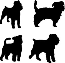 Brussels Griffon Dog Silhouette Vector Pack