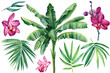 Leinwandbild Motiv Jungle botanical watercolor illustrations, floral elements. Palm leaves and flower orchid. Tropical leaves set