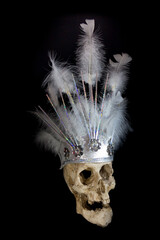 Sticker - human skull with white feather headdress for carnival isolated on black background