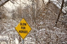A Yellow Warning Sign Reading Slow For Horses