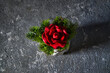 red rose on a black background